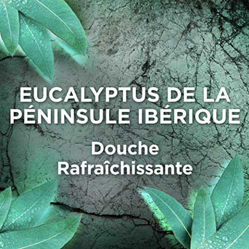 Gel Douche Rafraichissant Eucalyptus Ushuaia Le Flacon De 300ml - vue 6