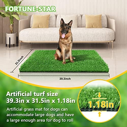 Do Dogs Eat Artificial Grass