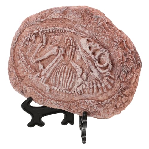 Kisangel Teaching Props Student Paleontology Ornament Resin Dinosaur Specimen Stone Decor
