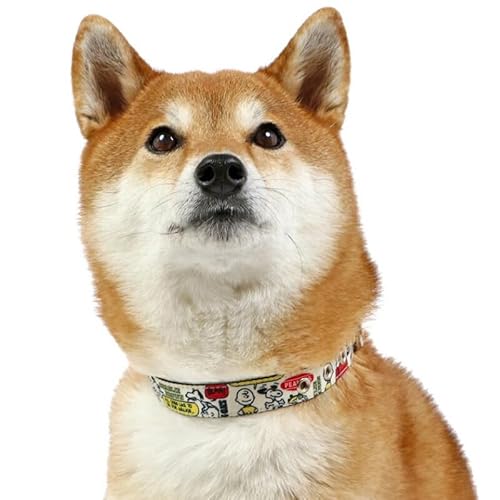 ybgp_CX    Xk[s[ yA M