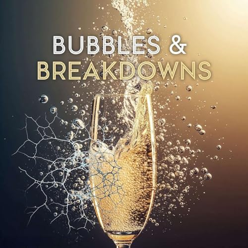 Page de couverture de Bubbles & Breakdowns