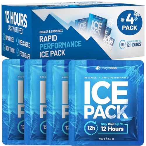 RIDGECOOL 4 Pack Large Reusable Ice Packs for Coolers, BPA-Free Freezer Packs for Cooler, Leakproof, Food Safe, Long Lasting, 9.8 x 8.6 in