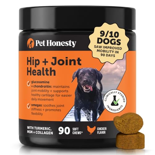 Hip + Joint Supplement for Dogs with Glucosamine Chondroitin - MSM Turmeric & Collagen Soft Chews - Joint Function Stiffness and Mobility Support May Reduce Occasional Discomfort (Chicken 90 Ct)