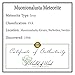 Muonionalusta Meteorite Stardust Shavings/Crystals - 100% Pure & Natural; by World of Wood - Perfect for Wood Inlay, Jewelry, Art, and More (3 Grams)