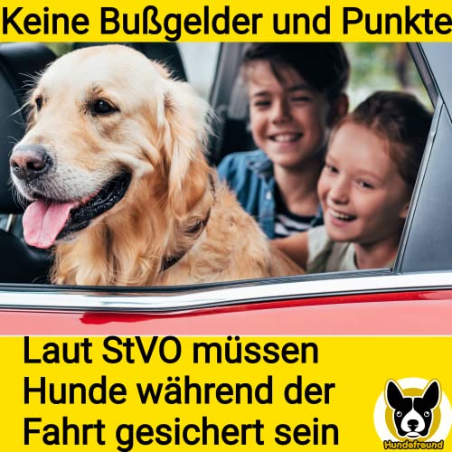 Hundefreund Auto Hundeleine mit Hundegurt 115-155 cm - Verstellbare Leine mit Sicherheitsgurt für Hunde - Griffpolster, Reflektierend mit Ruckdämpfer – Autoleine Schwarz für alle Hunderassen und Autos