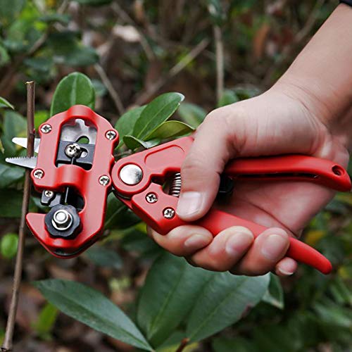Homyl Berçário Vermelho Enxertia Ferramenta Podador De árvore Ferramentas De Corte Para Galho De Gal