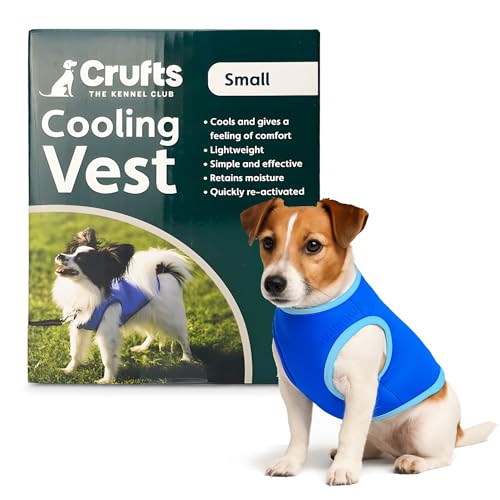 Lizzy Dog Cooling Vest Coat | Breathable Lightweight Puppy Jacket for Hot Weather | Pet Cool Safety Vest with Magic Tape | Sun Protection for Dogs (20cm (Small))