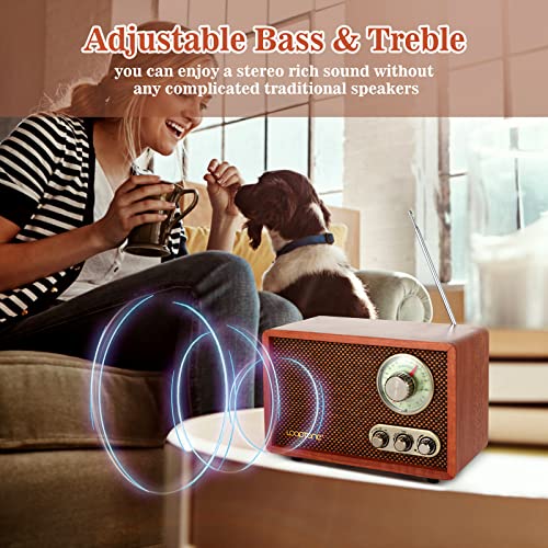 Radio Vintage LoopTone USB SD AM FM con Bluetooth miniatura 5