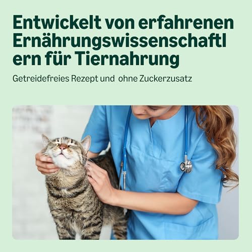 by Amazon Getreidefreies Katzennassfutter, Dose, ASC-Lachsstücke in Gelee, 6 x 405 g