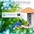 4UCam Smart Bird Feeder with Camera Solar Panel Powered, 1080HD Auto Capture Bird Videos & Instant Notifications, AI Intelligent Recognition Birds Spieces-Wireless Camera, with two-way Auto Capture 32