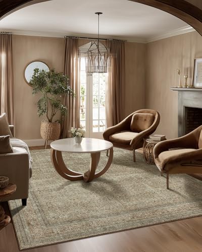 Washable Area Rugs for Living Room: 5x7 Bedroom Rug Boho