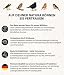 Dehner Natura Vogelfutter | Wildvogelfutter | Meisenknödel ohne Netz | energiereiches Premium Ganzjahresfutter | Fettfutter mit Nüssen | für Meisen und Rotkehlchen | im Vorratseimer | 100 Stück | 9 kg