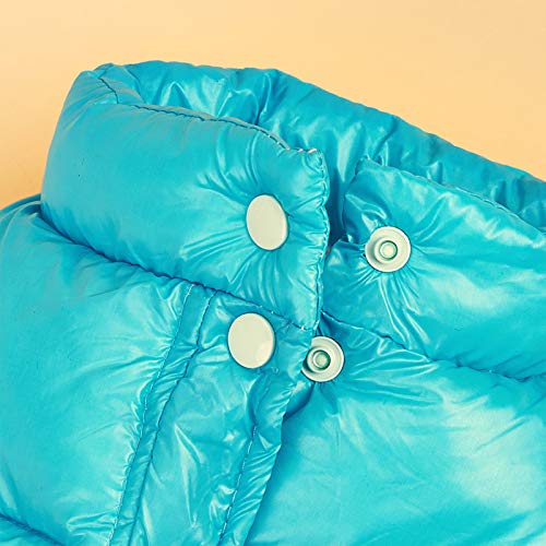 DECDEAL Roupas para animais de estimação Casaco impermeável para animais de estimação Roupas para cã