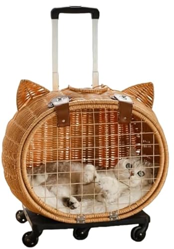 LumingLightِybgbN Lp Lg  ^ [P[X ܂ O\Ȏԗ hCu s ʉ@ (L̓̌`X[cP[X)