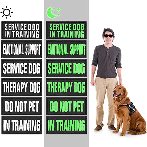 cobee Luminous Service Dog Patches, 6 Pcs Embroidered Dog Vest Patches Removable Dog Harness Patches with Hook Tactical Dog Vest Patch in Training Emotional Support Do Not Pet Therapy Dog, 3.5x1.5inch cobee Luminous Service Dog Patches, 6 Pcs Embroidered Dog Vest Patches Removable Dog Harness Patches with Hook Tactical Dog Vest Patch in Training Emotional Support Do Not Pet Therapy Dog, 3.5x1.5inch