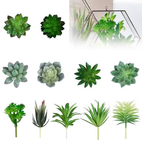 CVASNF 11 Stück Sukkulenten Künstlich, Kunstpflanzen Klein Künstliche Sukkulenten Grün Künstliche Pflanzen für DIY Home Büro Wohnzimmer Garten Tischdeko