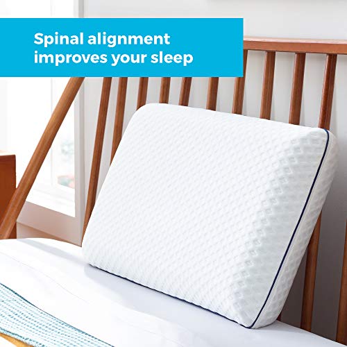 The 5 Best Linenspa Reading Pillows of 2024 [Verified] Cherry Picks