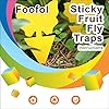 Fruit Fly Traps Fungus Gnat Traps Yellow Sticky Bug Traps 36 Pack No Harm and Odorless for Indoor Outdoor Use Protect The Plant #3