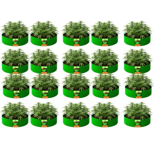 Image of Kingwell grow bags 12x6 inch pack of 20 Grow Bag For Terrace Garden Leafy Vegetable Plant Grow Bags Fruits Growing Containers For terrace Gardening
