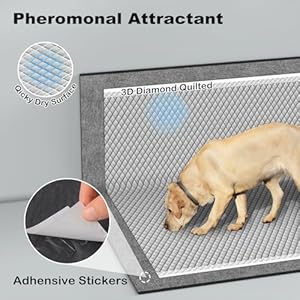   Pee-Pads-for-Dogs-Large-28x34-Inches-Charcoal-Puppy-Pads-New-Improved-Odor-Control-Absorbs-Up-to-8-Cups-of-Urine-Dog-Pee-Pads-6-Layer-Leak-Proof-Wee-Wee-Pads-for-Dogs-40-Counts