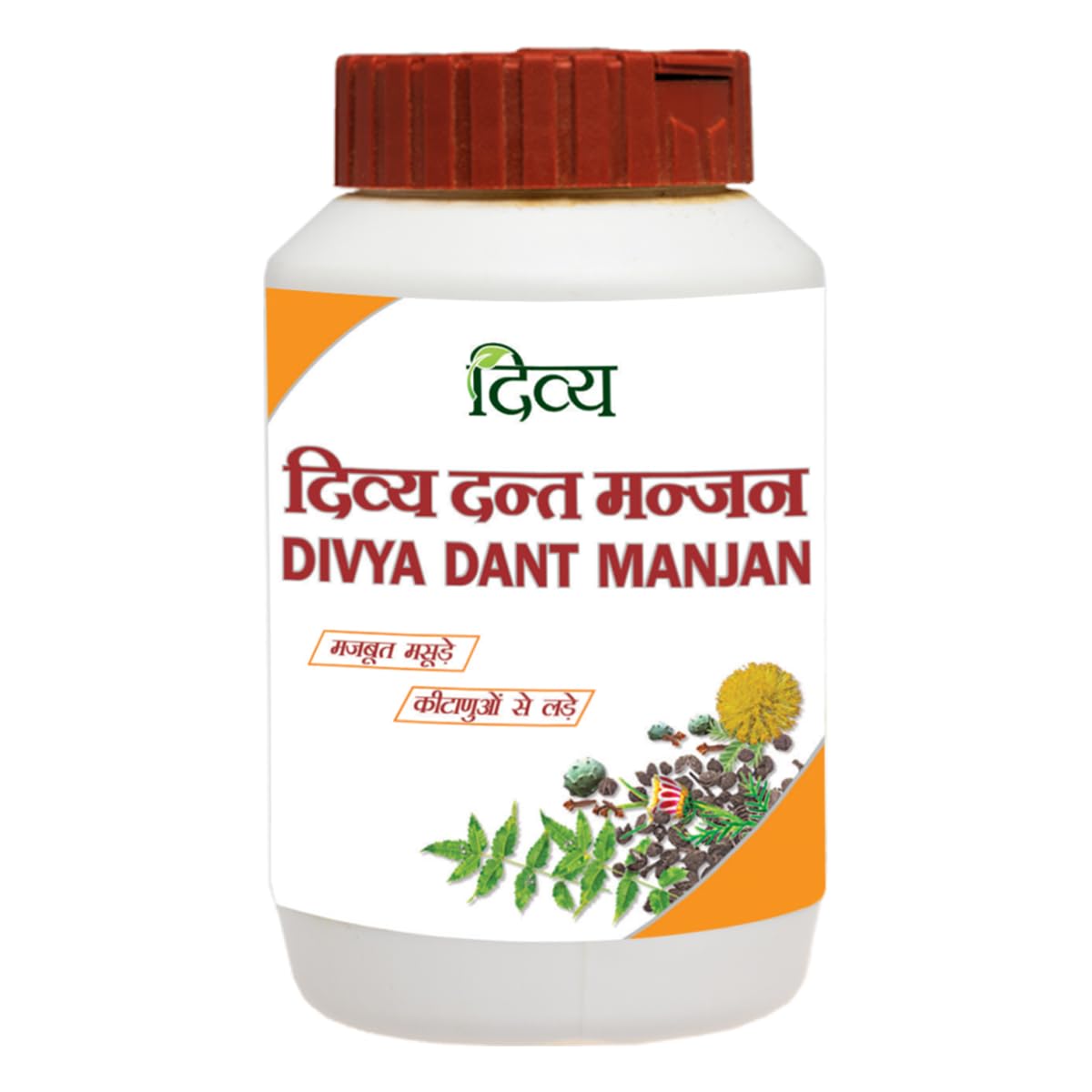 Divya Dant Manjan 100 Gm Pack of 1 (B0CLK9GB9R) Amazon Price History, Amazon Price Tracker