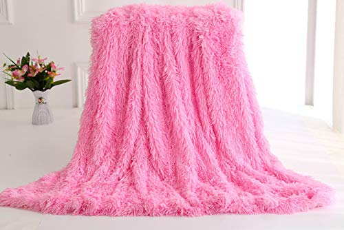 Sweetwill PV Velvet Double Blanket Plush Blanket Fluffy Blankets Throw (160*200cm, Pink)