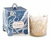 Michel Design Works Gift Boxed Soy Wax Candle, 6.5-Ounce, Octopus