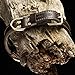 Genuine Leather Dog Collar with Alloy Buckle and Double D Rings (Large, Brown)