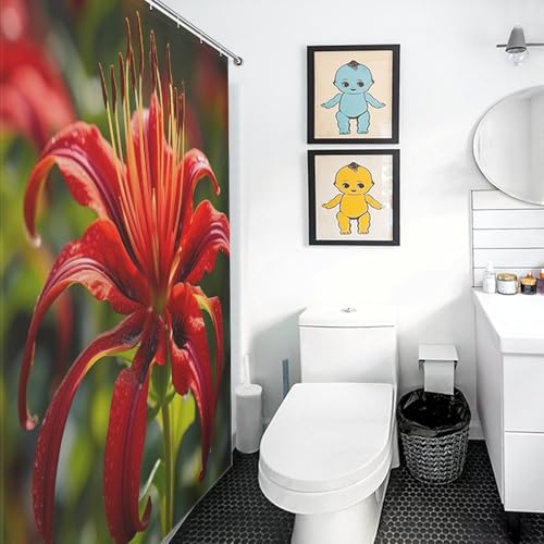 Rideau de douche baignoire imperméable anti-moisissure avec crochets 122x183
