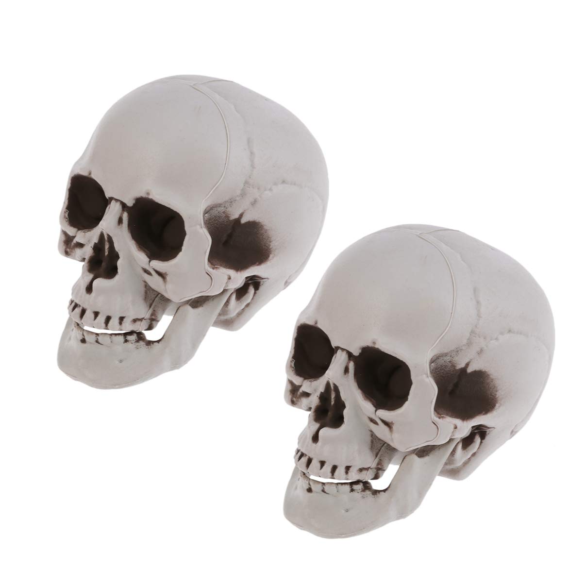 Cráneos de Halloween ABOOFAN pack de 4 esqueletos de tamaño real para decoración realista