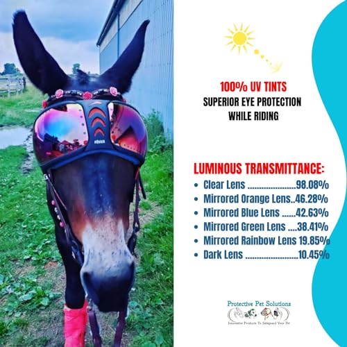 EQUICK Gafas de Caballo eVysor con protección UV para hípica 7