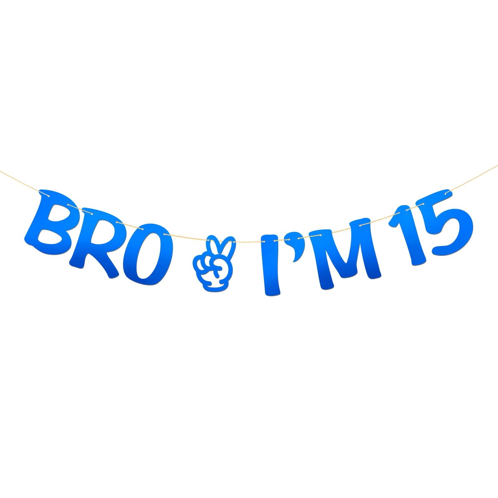 Brother I'm 15 Banner - Boy 15th Birthday Party Supplies - Fifteen Years Old - Big Brother 15th Birthday Party Decoration - Mirror Blue