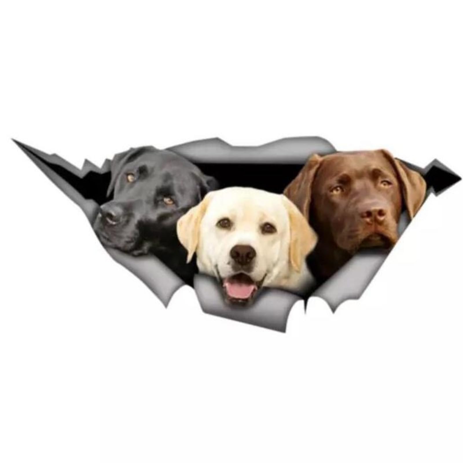 Autoaufkleber Labrador 18cm (7.1 Inch) Braun und Schwarz Labrador 3D Reflektierende Aufkleber PVC Wasserdicht Stoßstange Personalisieren Lustig Dekor