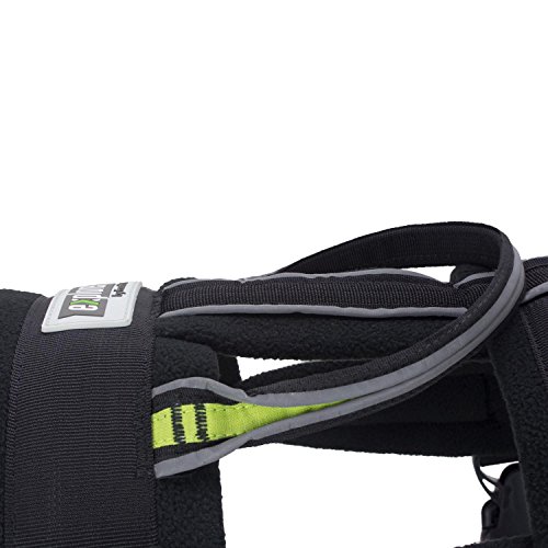 Frontpet FRO-DH-PH Dog Pulling Harness & Pulling Leash - Adjustable Padded Dog Vest thumb #2