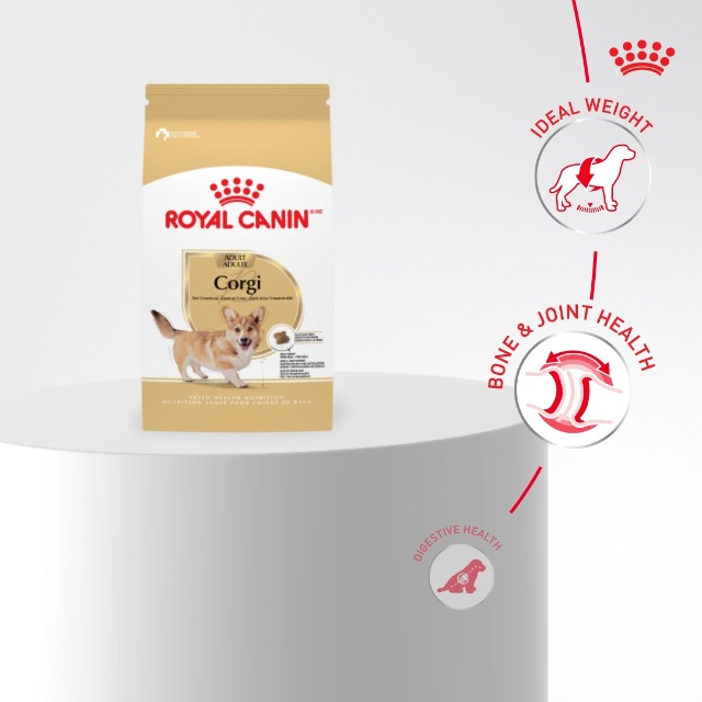 ROYAL CANIN Corgi Adult Dry Dog Food, Kibble for Corgis 12 Months+