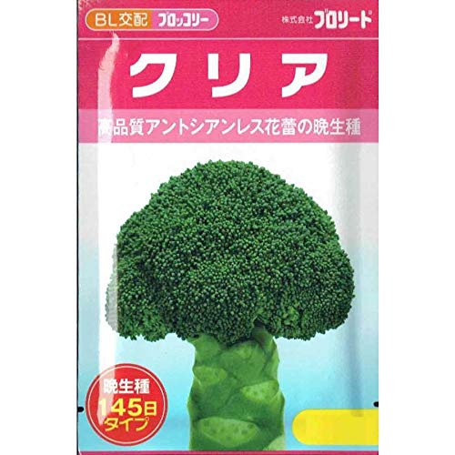 匿名発送！値下げ中！ブロッコリー（クリア）5千粒！ 匿名発送！値下げ中！ブロッコリー（クリア）5千粒