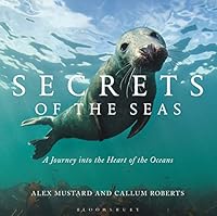 Algopix Similar Product 10 - Secrets of the Seas A journey into the