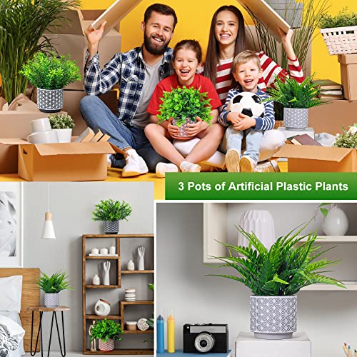 Riddsee Artificial Potted Plants 3Pack- Realistic Ferns Plants Plastic Rosemary Plants Potted In Pot Fake Small Eucalyptus Greenery For Office Desk Kitchen Bedroom Bathroom Outdoor Indoor Home Decor #TOP1