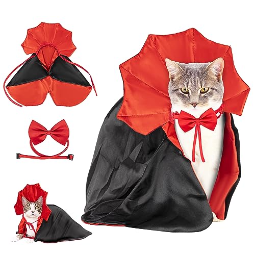 Cat Costume Halloween The 15 best products compared Wild Explained