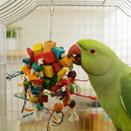 Jouet d'activité de recherche en bois pour stopper le piquage des oiseaux - 6