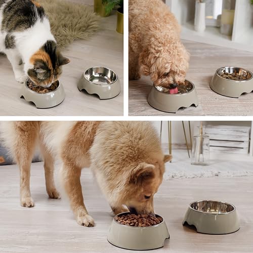 ne&no® Futternapf 2er Set für Welpen und mittelgroße Hunde [Gr. M / 350 ml] Hundenapf rutschfest | Trinknapf Katze | Dog Bowl (M, Taupe)