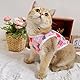 3 Stück Hundeshirts,Atmungsaktives Welpen Hunde Shirts Obstmustern Kleine Hunde-Shirt Weiche Cat Tank Weste T-Shirt Sommer Hundekleidung Haustierkleidung für Kleine Hund Katze(Rosa,XL)