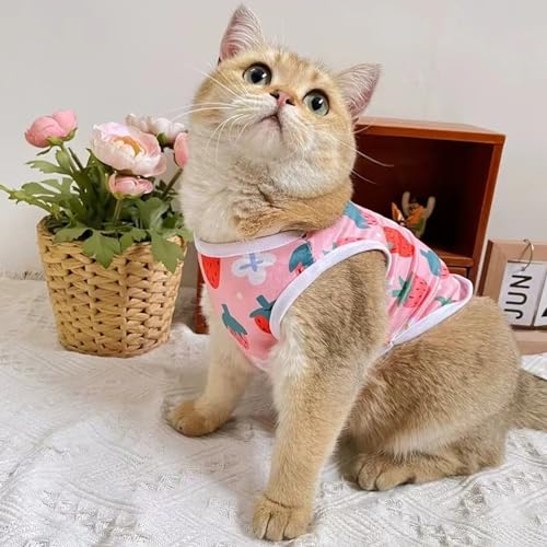 3 Stück Hundeshirts,Atmungsaktives Welpen Hunde Shirts Obstmustern Kleine Hunde-Shirt Weiche Cat Tank Weste T-Shirt Sommer Hundekleidung Haustierkleidung für Kleine Hund Katze(Rosa,L)