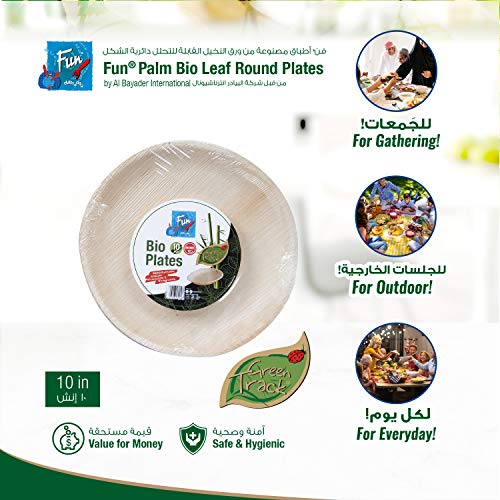 طبق دائري من فن ايفري داي، قابل للتحلل البيولوجي والاستخدام في الميكروويف من أوراق النخيل العضوية والآمنة على البيئة، مقاس 10 انش، عبوة من 10 قطع
