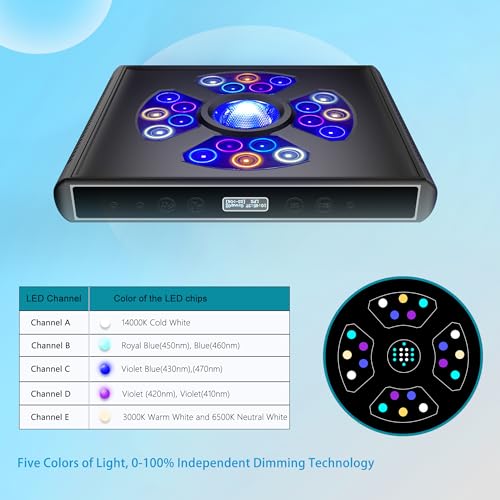 Aquarium Lights-100 watt 5 Channels Sunrise Sunset Moonlight Reef Lights for Coral SPS LPS Saltwater Tank - Image 3