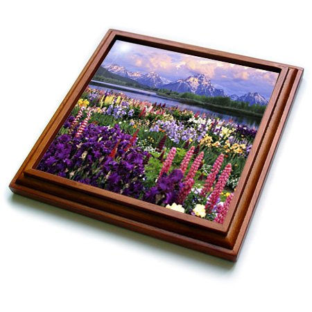 Wyoming Grand Teton Moose Ceramic Trivet - 8x8 Inch Wood Frame Hot Plate