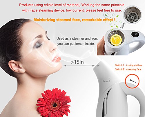 Tepoinn 2 in 1 Portatile Garment Steamers Mini