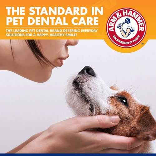 Image of Arm & Hammer for Pets Tartar Control Dog Dental Care Kit, Banana Mint Flavor Toothpaste with Baking Soda, Double-Sided Toothbrush and Finger Brush Included, 2.5 Oz, 3-Piece - 2 Pack