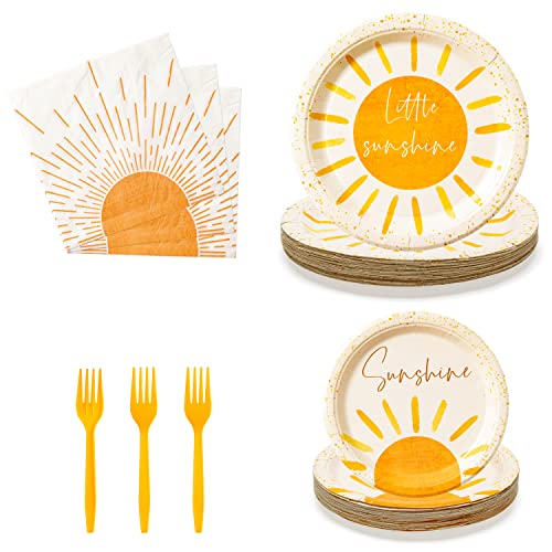 96Pcs Boho Sun Party Plates Supplies First Trip Around The Sun Party Tableware Decorations Disposable Paper Plates Napkins