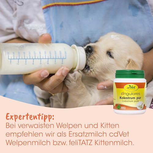Singulares Rinder-Kolostrum pur 100% natürlich für Immunsystem 30 g